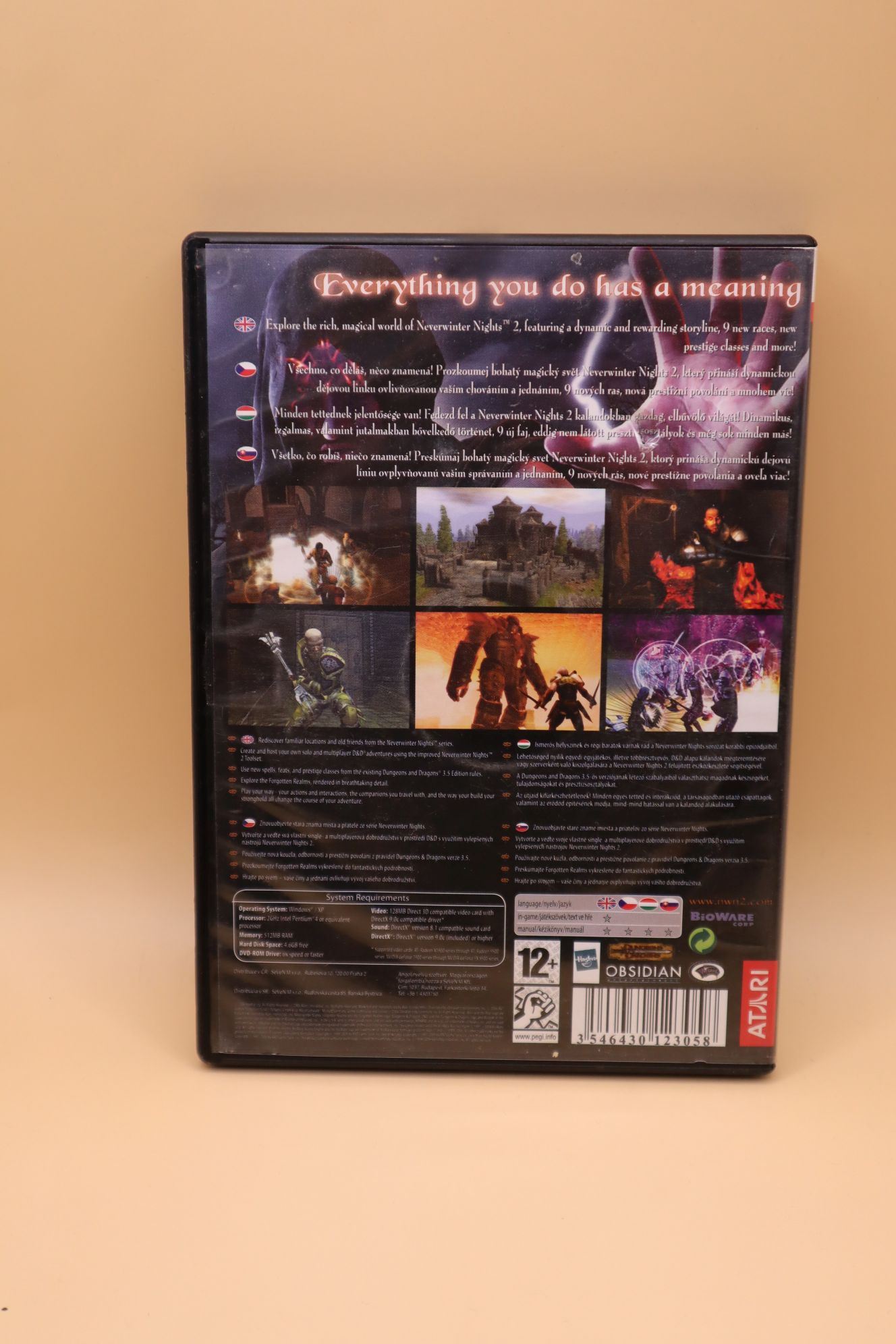 Neverwinter Nights 2 - Image 2